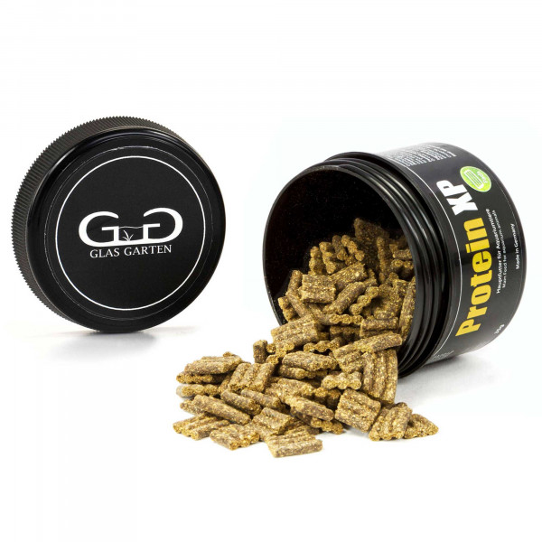 GlasGarten Protein XP Ansicht