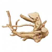 Rote Moorwurzel - Finger Wurzel 3D Nr. 763 (23x19x15cm) Rote Moorwurzel - Finger Wurzel 3D Nr. 763 (23x19x15cm)