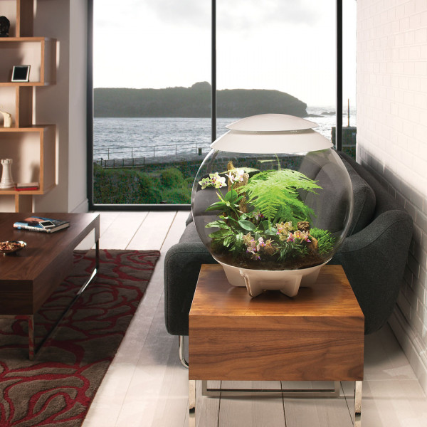 Oase biOrb AIR 60 | Automatisches Pflanzenterrarium