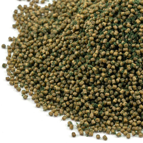 Aquarium Münster | Dr. Bassleer BIOFISH FOODBOX FISH
