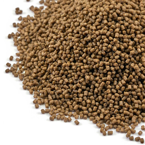 Aquarium Münster | Dr. Bassleer BIOFISH FOODBOX FISH