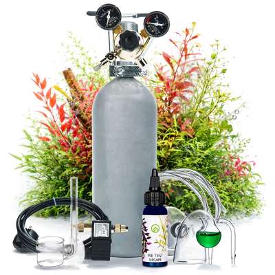 Aquarium CO2 Anlagen kaufen  CO2 Dngung Aquarienpflanzen