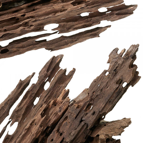 Dragonwood | Drachenholz | Ohkowood Set