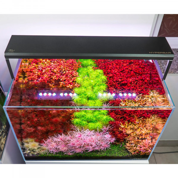 Skylight Hyperbar Aquarium LED Foto auf Aquarium