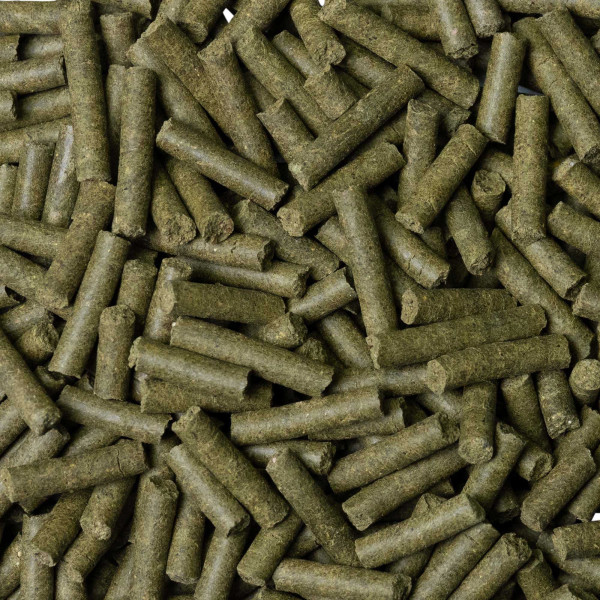 Dennerle | Shrimp King Camberellus