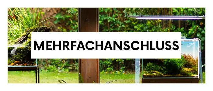 Aquarium CO2 Anlagen kaufen  CO2 Dngung Aquarienpflanzen
