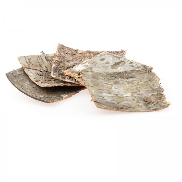 Birkenrindenplatten | Futterplatz für Garnelen - 5Stk.