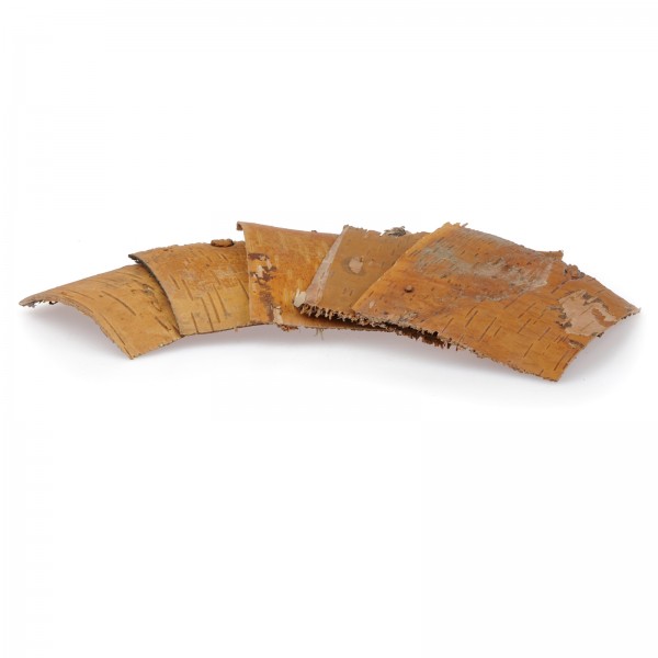 Birkenrindenplatten | Futterplatz für Garnelen - 5Stk.
