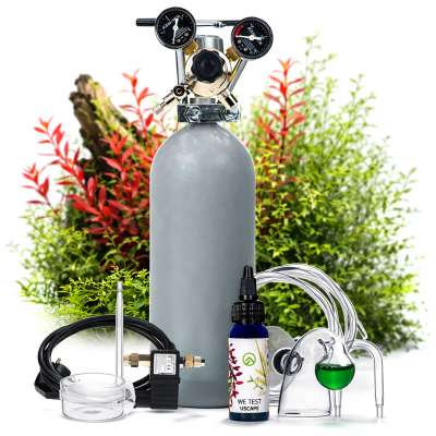 Effektive CO2 Dngung fr Aquascapes | Jetzt bestellen