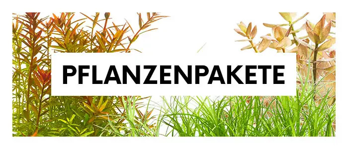 Künstliche Wasserpflanzen Aquarium - Simulation Weide Baum Set Für Teich & Aquarium