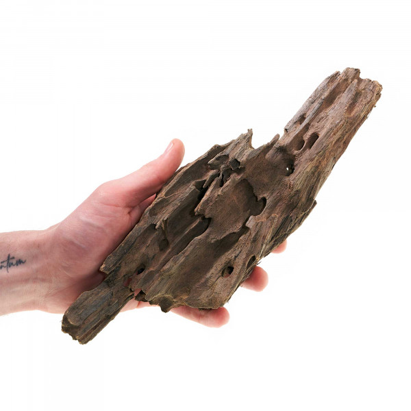 Dragonwood | Drachenholz | Ohkowood Set