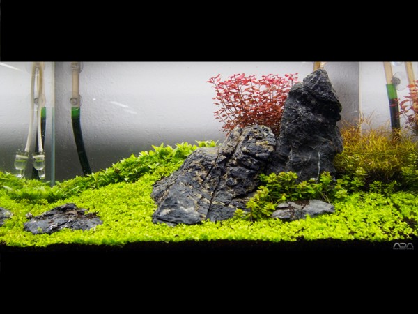 Mini Landschaft | Seiryu-Stein