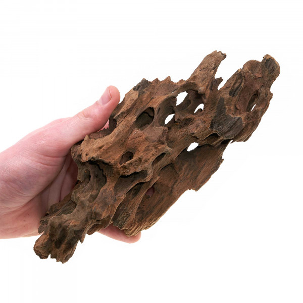 Dragonwood | Drachenholz | Ohkowood Set