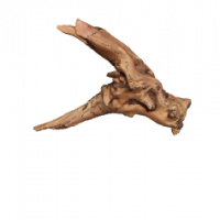 Flusswurzel 3D Nr. 502 (30x19x20cm) Flusswurzel 3D Nr. 502 (30x19x20cm)