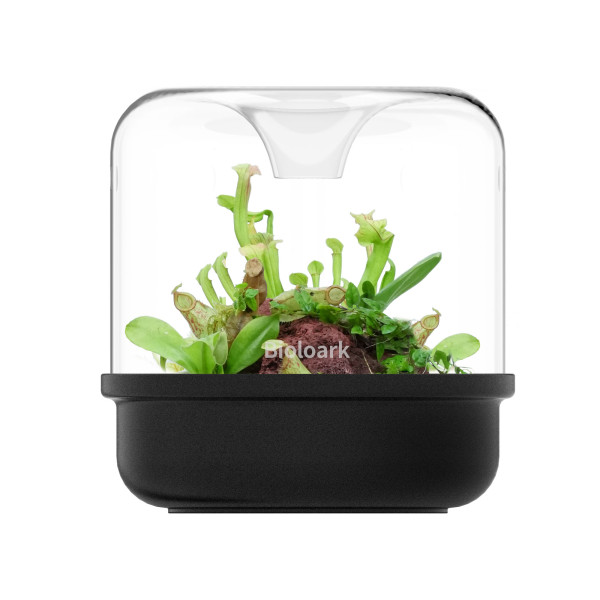 Bioloark LUJI Cup MY 150 K schwarz