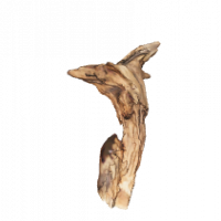 Entwood 3D Nr. 141 (17x26x15cm) Entwood 3D Nr. 141 (17x26x15cm)