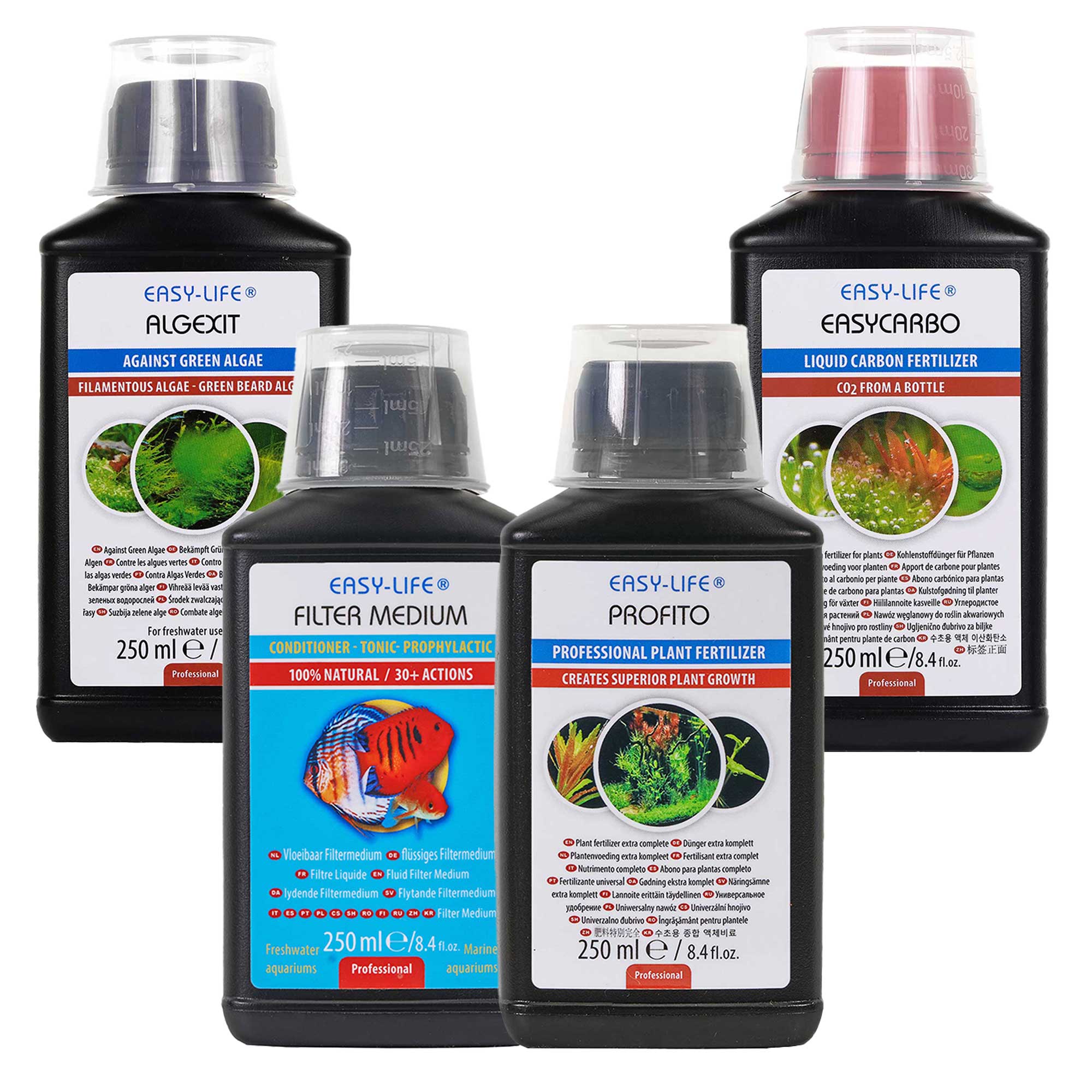 Blauer Lotus Blüten Lotus-Mix Samen – 60x Blumensamen Für Wasserpflanzen, Perfekt Für Teich Oder Garten Lotus Samen Für Wassergarten