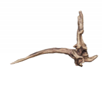 Flusswurzel 3D Nr. 1298 (32x21x5cm) Flusswurzel 3D Nr. 1298 (32x21x5cm)