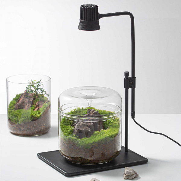 Bioloark Wabi-Kusa LED Lampe DX-5B Beispiel 1