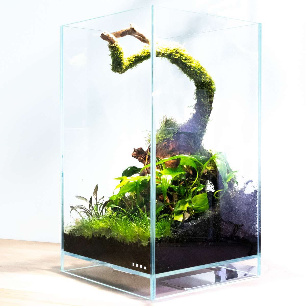 DOOA Neo Glass AIR online kaufen