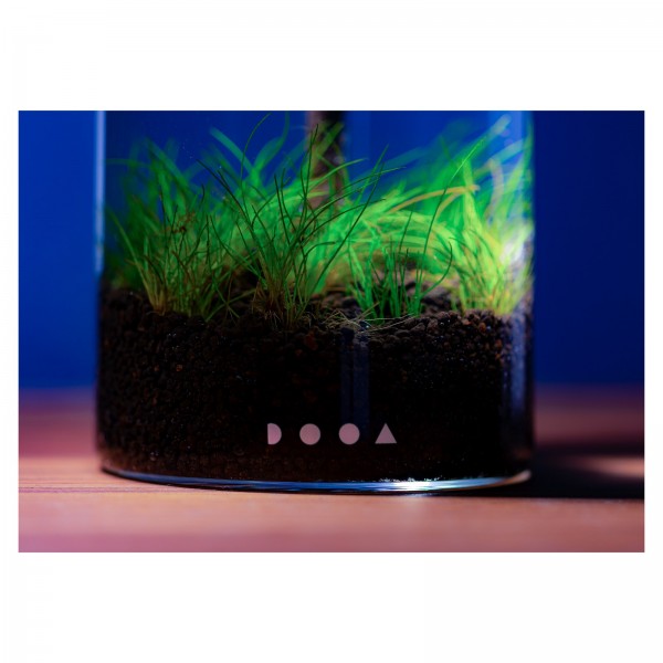 DOOA Glass Pot MARU