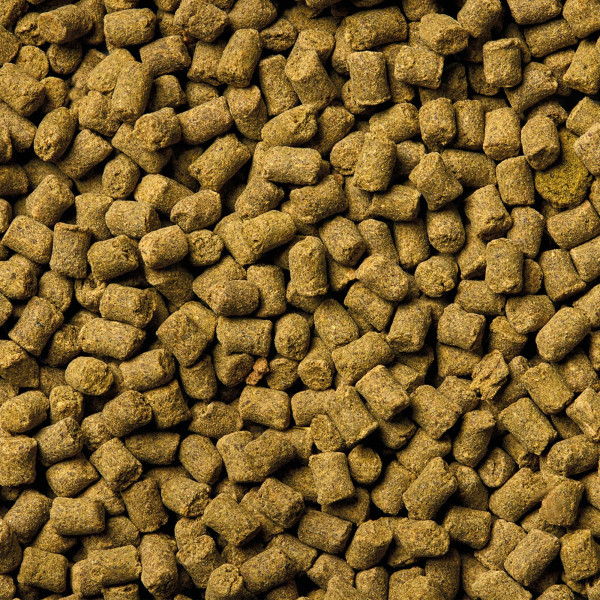 ORGANIX Power Sticks MSC