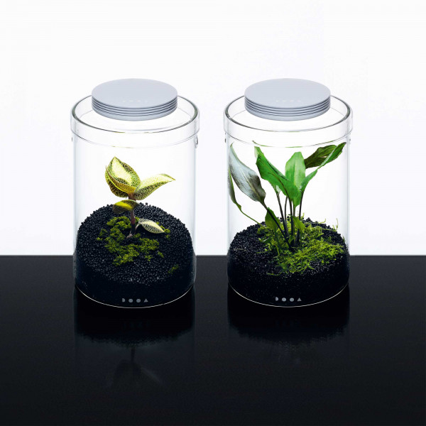 DOOA Glass Pot MARU 130 | Magnet Light G | Soil & Base | Set Beispiel