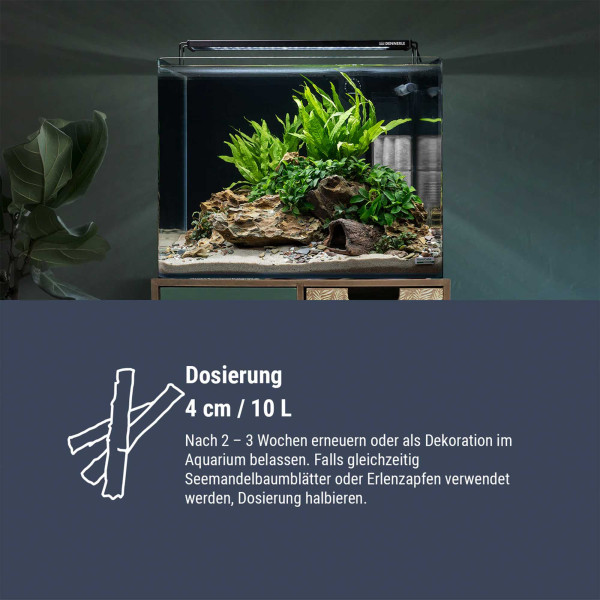 Dennerle Nano Catappa Bark | Seemandelbaumrinde - 8 Stück