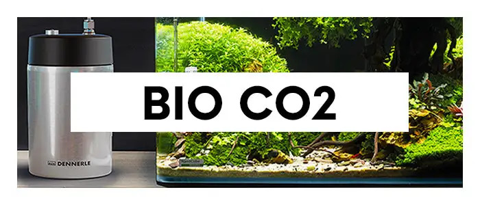 cannabis kalium dünger 420Flow Grow – Cannabis Wachstumsdünger für starke Pflanzenbasis