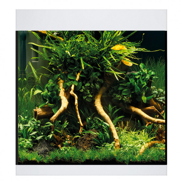 Oase StyleLine 85 Aquarium Komplettset