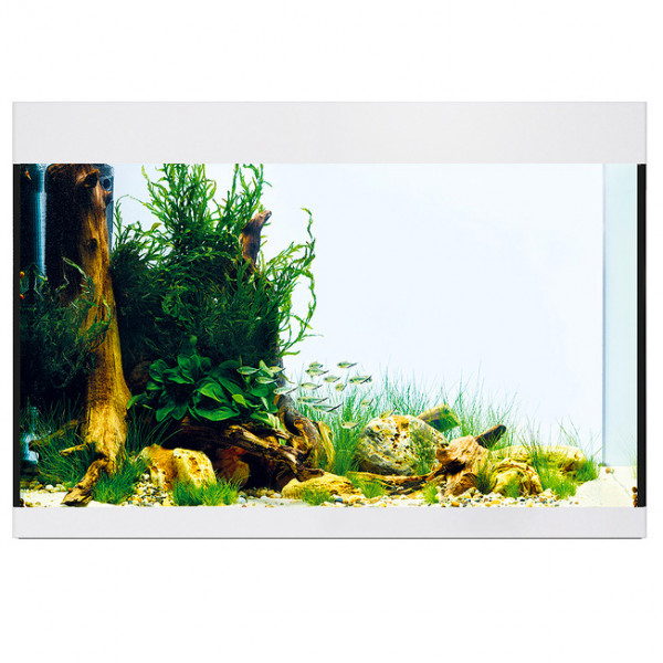 Oase StyleLine 175 Aquarium Komplettset