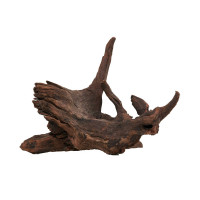 Flusswurzel, Driftwood | Einzelstück Premium 10-25cm Flusswurzel, Driftwood | Einzelstück Premium 10-25cm