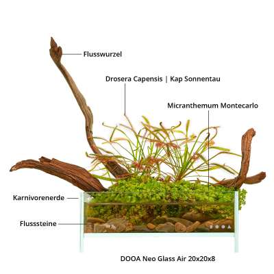 Sonnentau Terrarium Wabi-Kusa Set