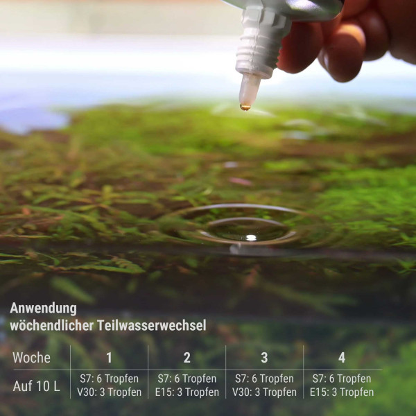 Dennerle | Plant System Set Nano