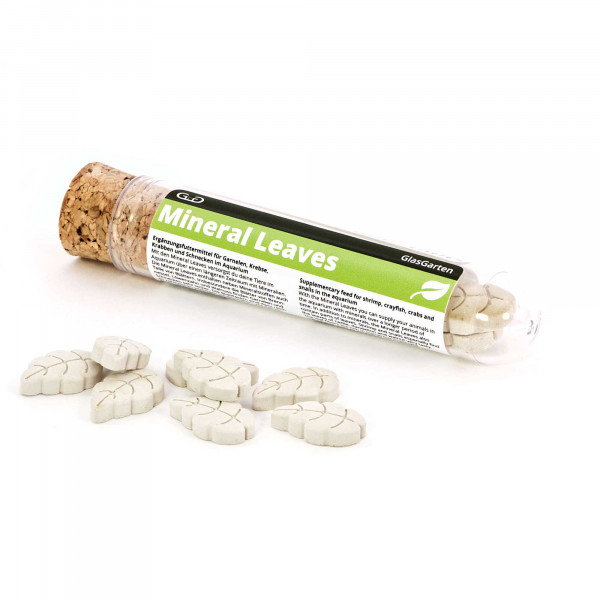 GlasGarten – Mineral Leaves