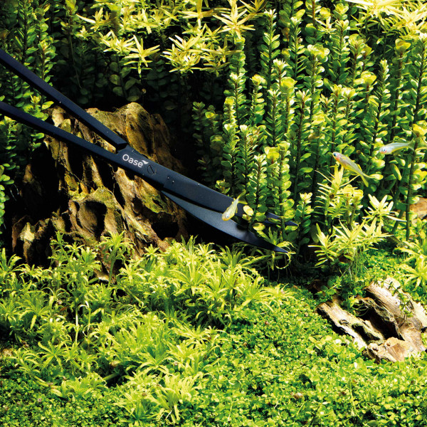 Oase Pflanzen-Schere