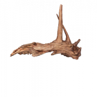 Flusswurzel 3D Nr. 1101 (30x21x9cm) Flusswurzel 3D Nr. 1101 (30x21x9cm)