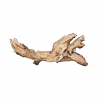 Flusswurzel 3D Nr. 636 (25x6x10cm) Flusswurzel 3D Nr. 636 (25x6x10cm)