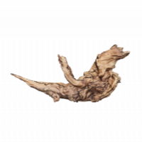 Flusswurzel 3D Nr. 581 (39x11x20cm) Flusswurzel 3D Nr. 581 (39x11x20cm)