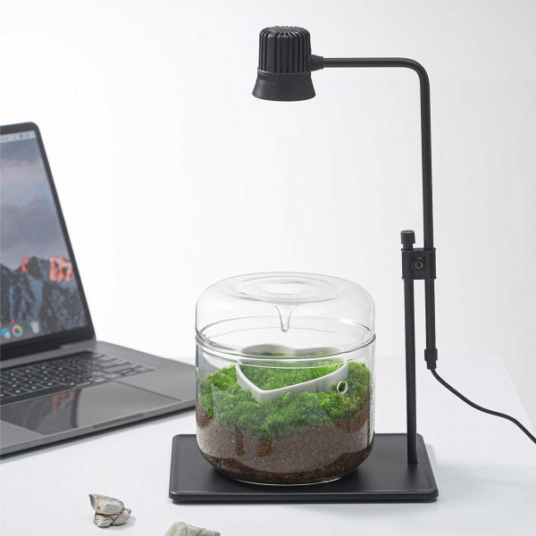 Bioloark Wabi-Kusa LED Lampe DX-5B Beispiel 2