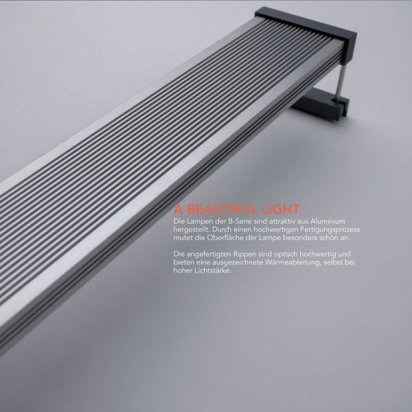 TWINSTAR LIGHT B-Serie II