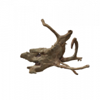 Rote Moorwurzel - Finger Wurzel 3D Nr. 684 (22x18x14cm) Rote Moorwurzel - Finger Wurzel 3D Nr. 684 (22x18x14cm)