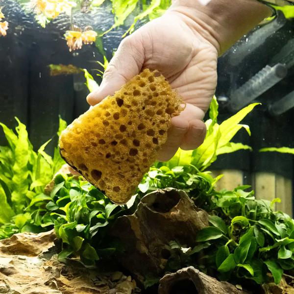 Dennerle | Cleanator