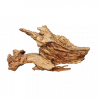 Taiga-Wurzel 3D Nr. 1517 (50x29x28cm) Taiga-Wurzel 3D Nr. 1517 (50x29x28cm)