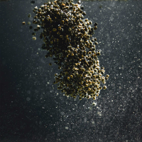 StreamBiz | Buntbarsch Spirulina Softgranulat