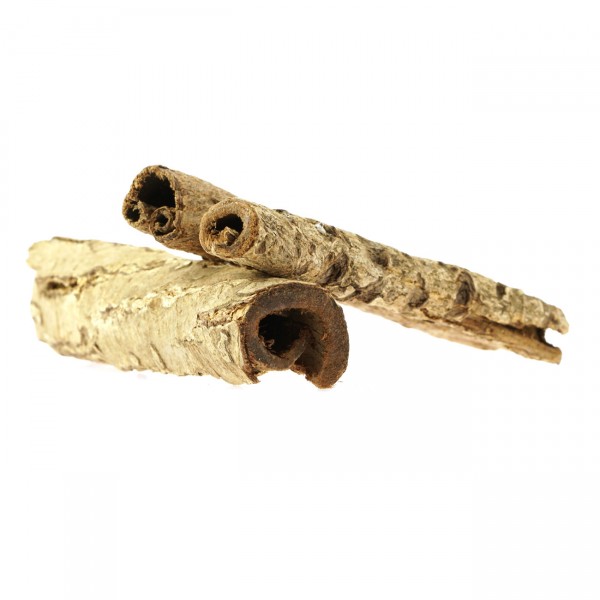 Seemandelbaum Röhrchen