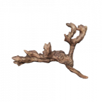 Flusswurzel 3D Nr. 534 (24x12x14cm) Flusswurzel 3D Nr. 534 (24x12x14cm)