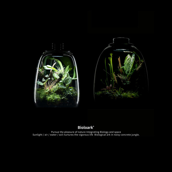Bioloark Bio Bottle QD | Mini Terrarium