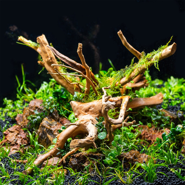 STein Hardscape Aquarium, Versteinertes Holz Fossilized Wood