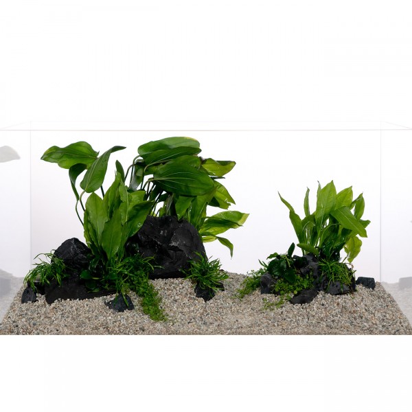 Schwarzer Felsen Set